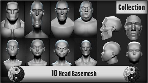 10 Basemesh Head