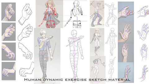 Human dynamic exercise sketch material