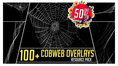 100+ Spider Web Overlays Resource Pack for Photobashing in Photoshop