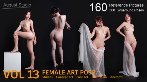 Female Art Pose - Vol 13 - Reference Pictures