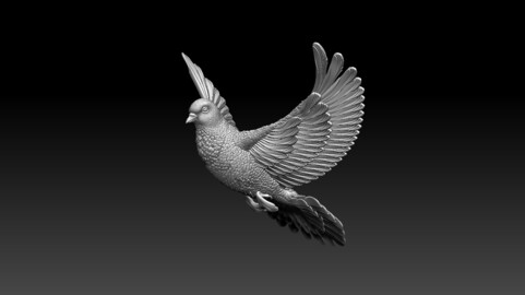 pigeon dove bird