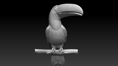 tucan bird