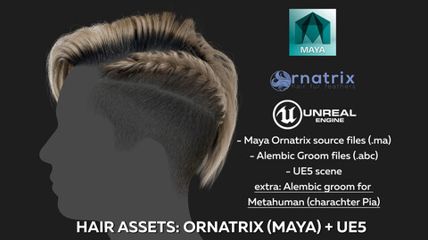 Hair Asset - Ornatrix groom in Maya/  Alembic groom for UE/ Scene UE5