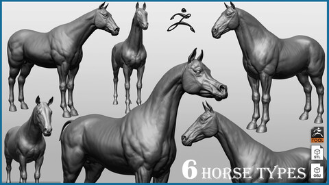 Horse Breeds Collection   - 6 horses - ZTL+OBJ+STL