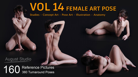 Female Art Pose - Vol 14 - Reference Pictures