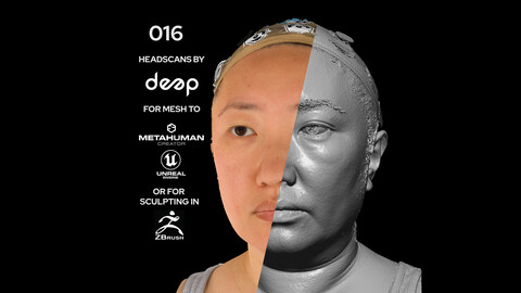 Asian Female 40s head scan 016