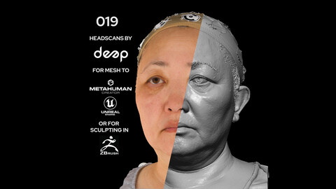 Asian Female 50s head scan 019