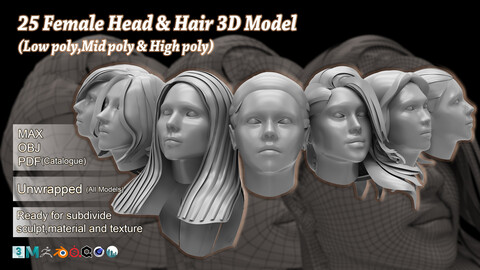 25 Female Head & Hair 3D Model Basemesh