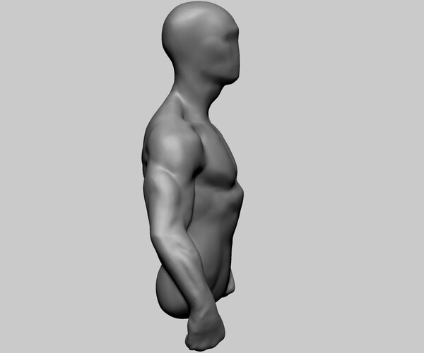 Artstation Male Torso Models For Reference Resources