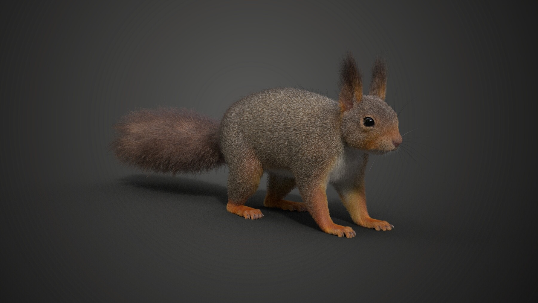 ArtStation - RedSquirrel Summer Animated | VFX Grace | Game Assets