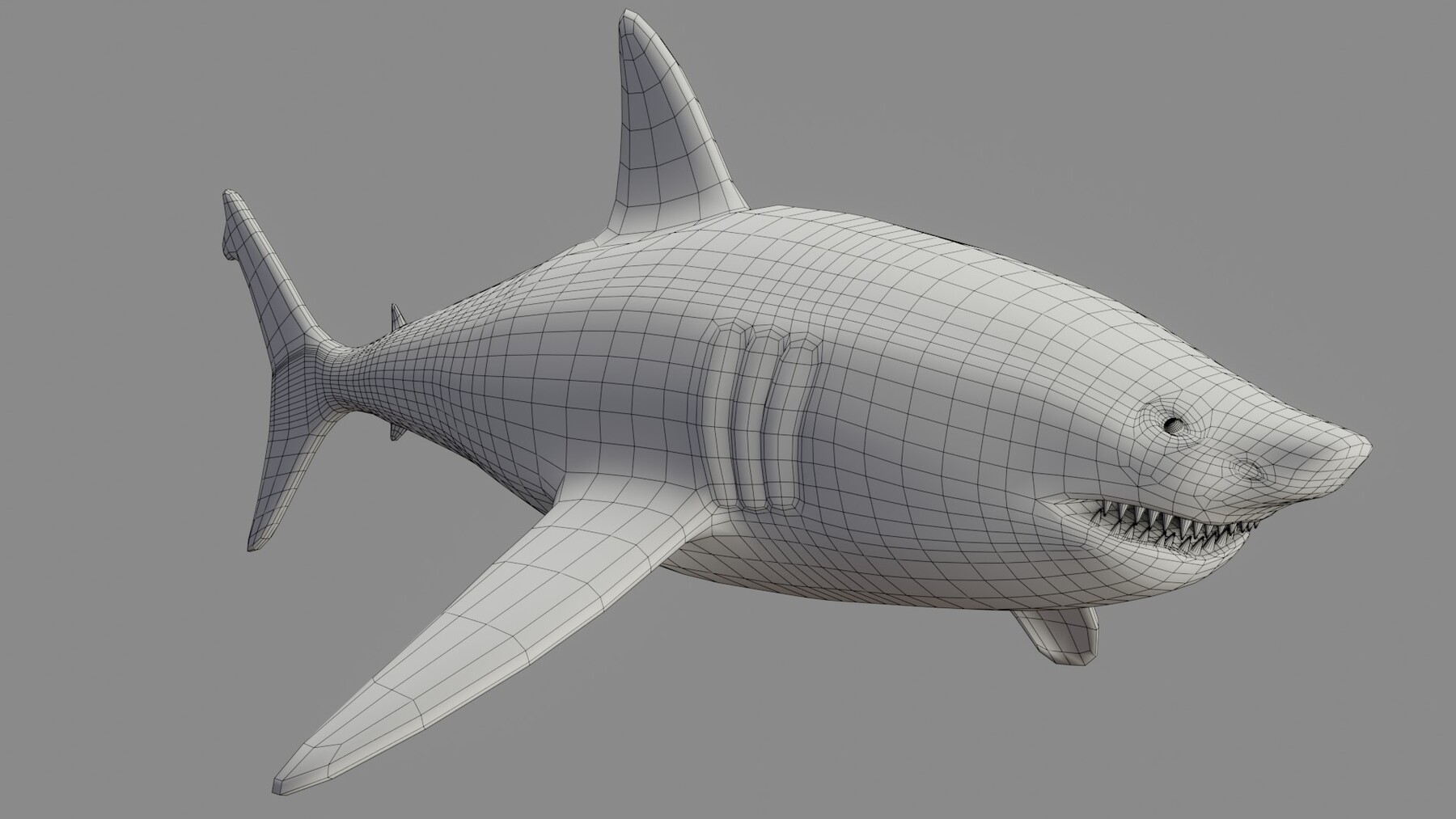 ArtStation - Shark Rigged and Animation in Blender