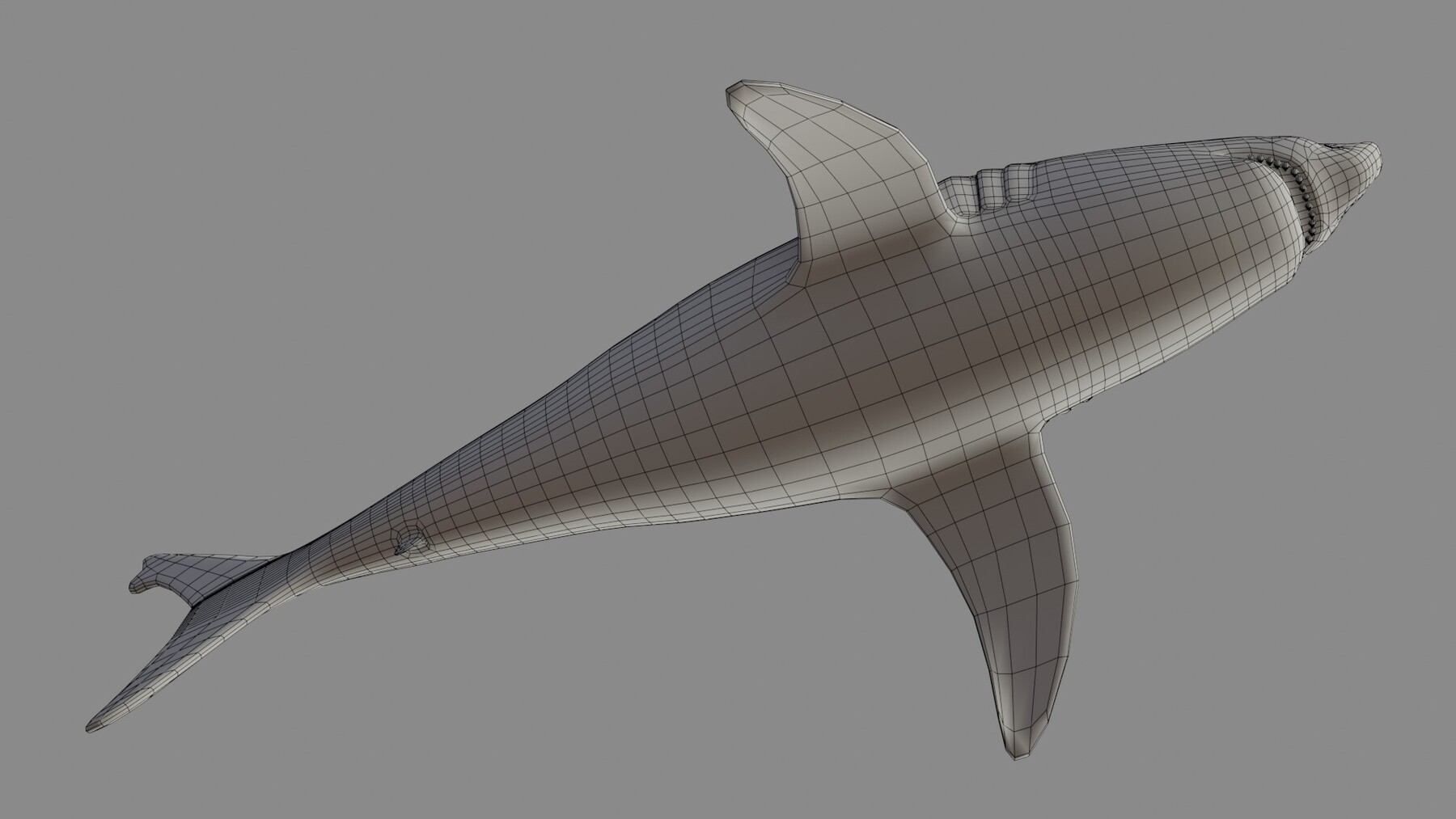 ArtStation - Shark Rigged and Animation in Blender