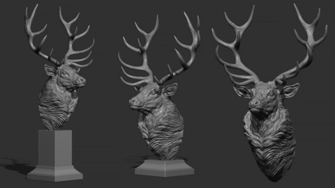 Red deer bust