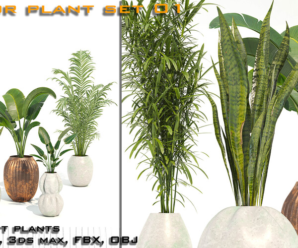 ArtStation - Indoor Plant Set 01 | Resources