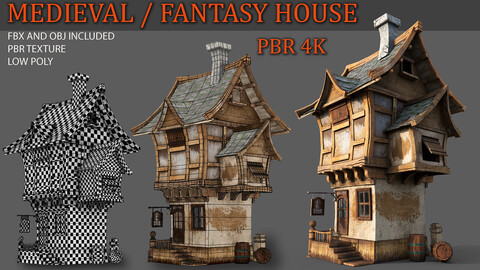 Medieval/Fantasy House