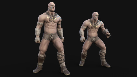 Stylized Barbarian