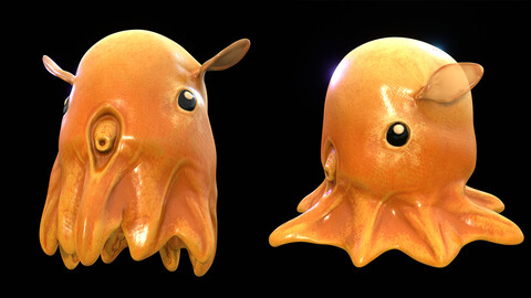 Grimpoteuthis - Dumbo Octopus - Ngchipv