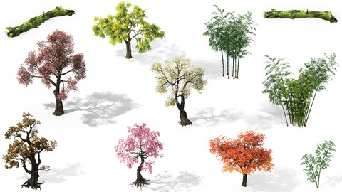 110 Different Bamboo Tree Plant Wood Conifer Tropical Maple Willow Nature Forest Environment Game Assets