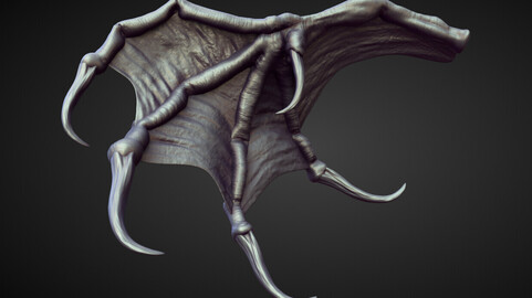 WING22 high poly sculpt