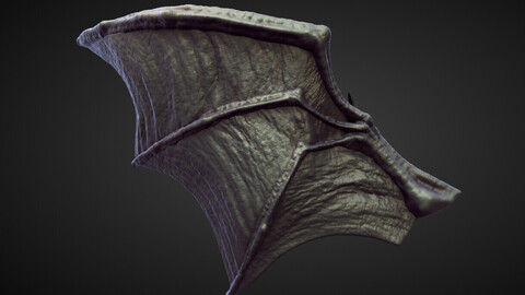 WING23 high poly sculpt