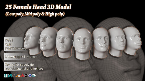 25 Male Head 3D Model Basemesh