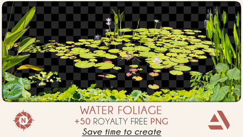 PNG Photo Pack: Water Foliage