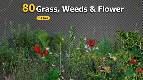 80 Grass, Weeds & Flower Pack
