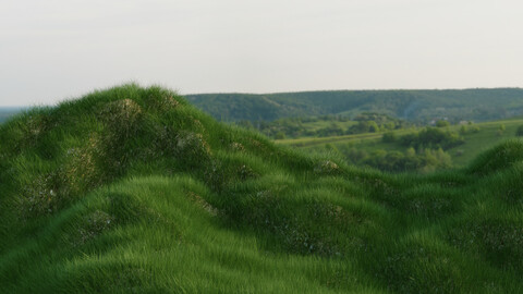 Realistic grass landscape