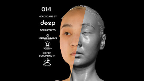 Asian Female 20s head scan 014