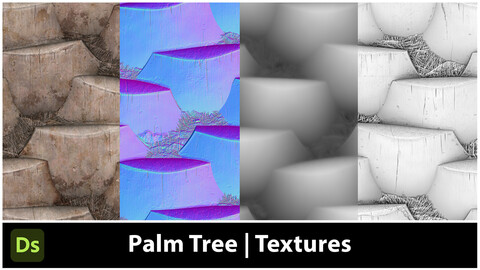 Palm Tree - Textures