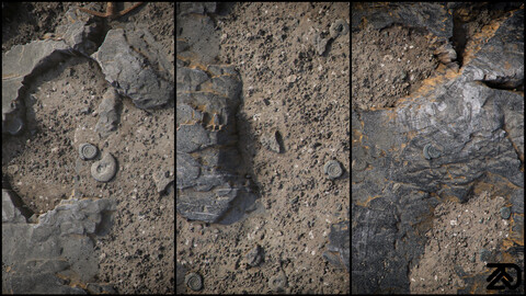 PBR - GROUND WITH FOSSILS - 4K MATERIAL