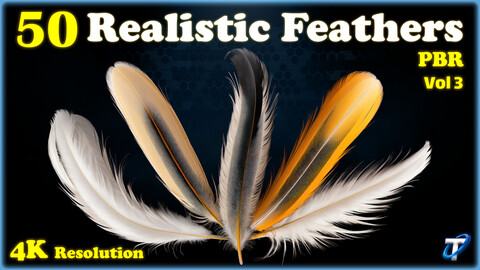 50 Realistic Feather - PBR Textures (MEGA Bundle) - Vol 3
