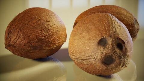 3D Scanned Coconut Model with Textures and Normal Map