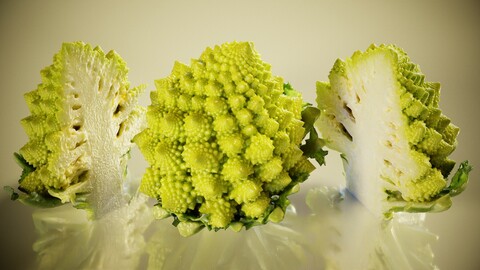 3D Scanned Romanesco Cabbage Model with 4K Textures and Normal Map