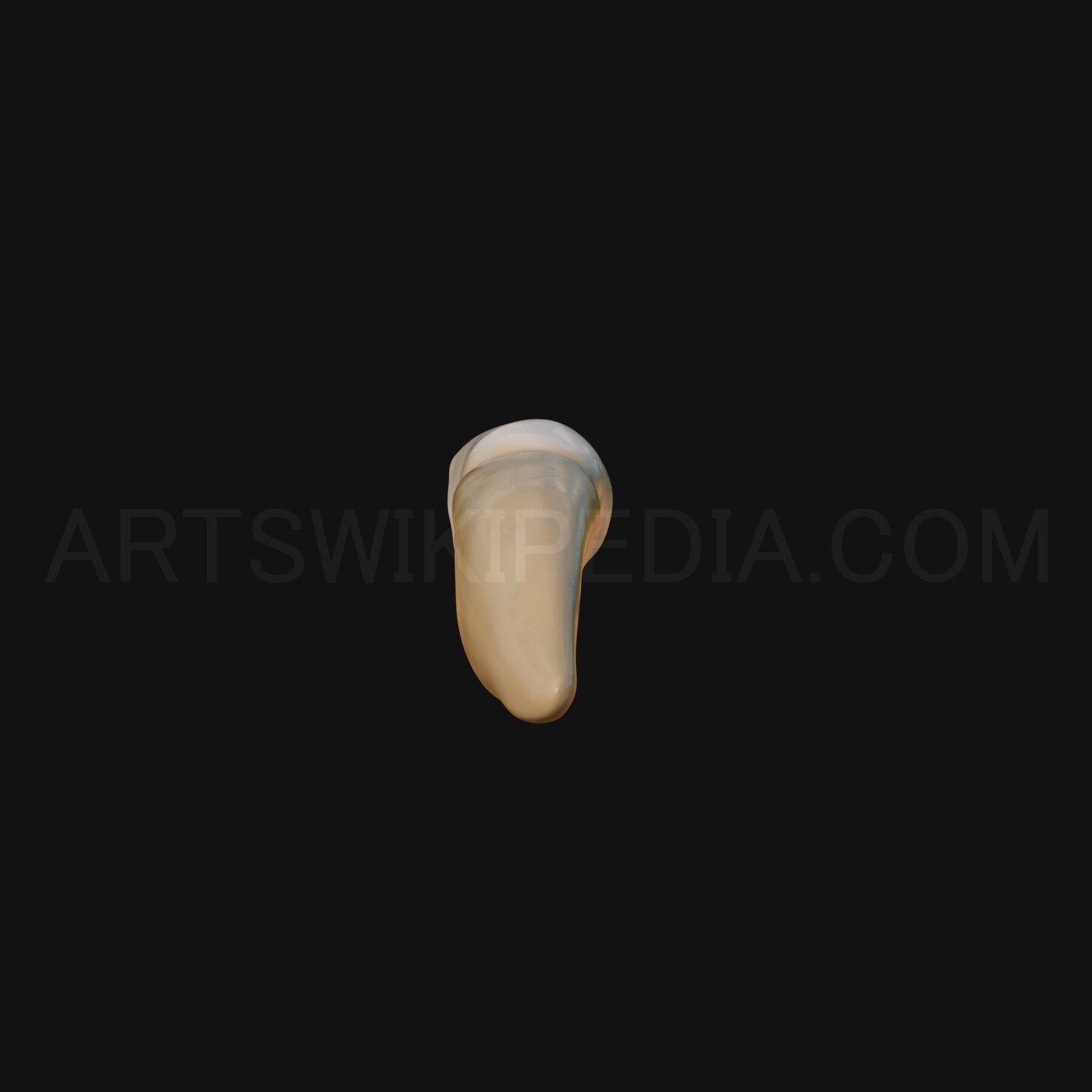 ArtStation - 3D Model of mandibular left lateral incisor | Resources