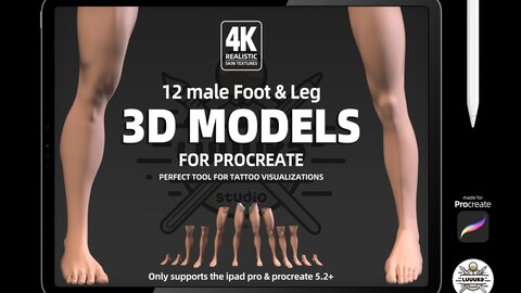 Procreate 3d Models (4K) Leg male