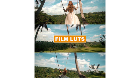 Cinematic Film LUTs for Photoshop, Premiere Pro, LumaFusion, Final Cut Pro, Davinci Resolve, Filmora, Luminar, Sony Vegas and More