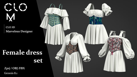 Female dress set / Marvelous Designer/Clo3D project file + OBJ