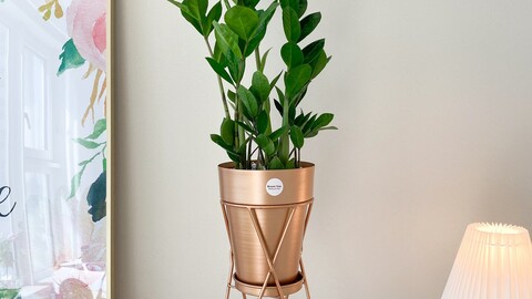 metal flowerpot