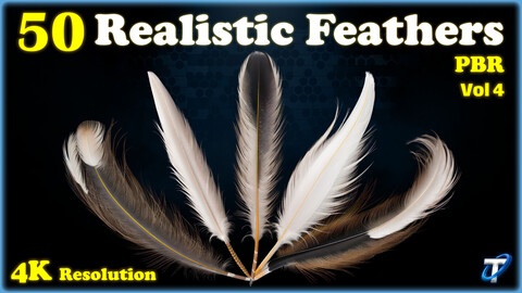 50 Realistic Feather - PBR Textures (MEGA Bundle) - Vol 4