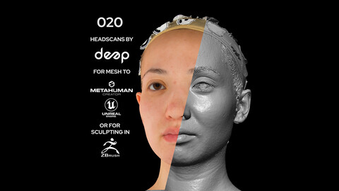 Asian Female 30s head scan 020