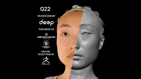 Asian Female 20s head scan 022
