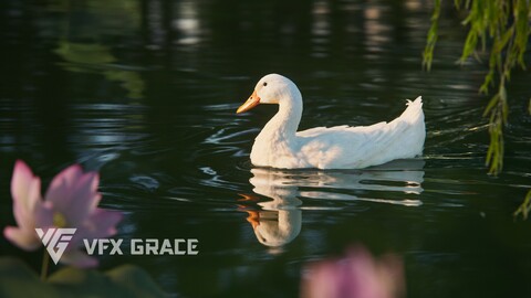 Duck Animated | VFX Grace