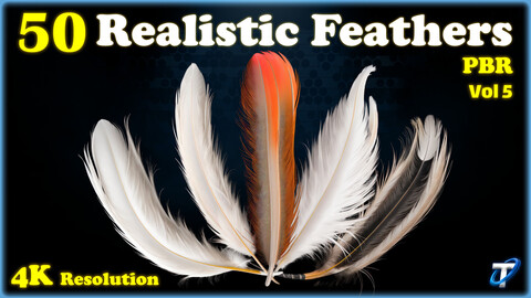 50 Realistic Feather - PBR Textures (MEGA Bundle) - Vol 5