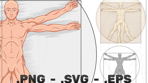 Vector Design Vitruvian Man Human Proportions