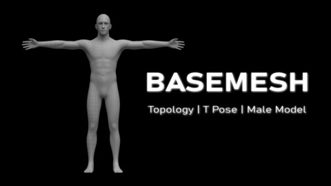 Anatomy Male Basemeshes