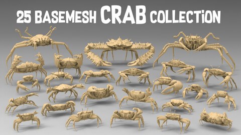 25 Basemesh crab collection
