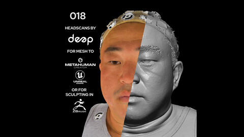 Asian Male 40s head scan 018