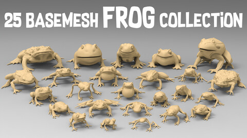 25 Basemesh frog collection