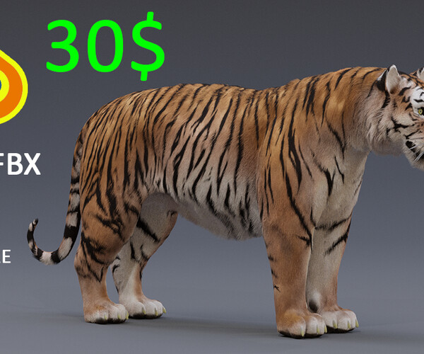 Tiger 3D Models download - Free3D